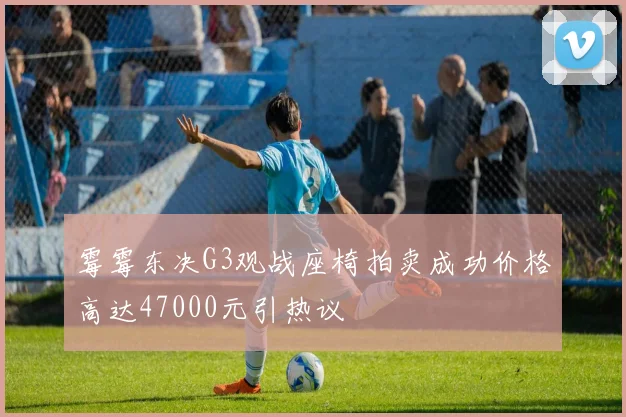 霉霉东决G3观战座椅拍卖成功价格高达47000元引热议